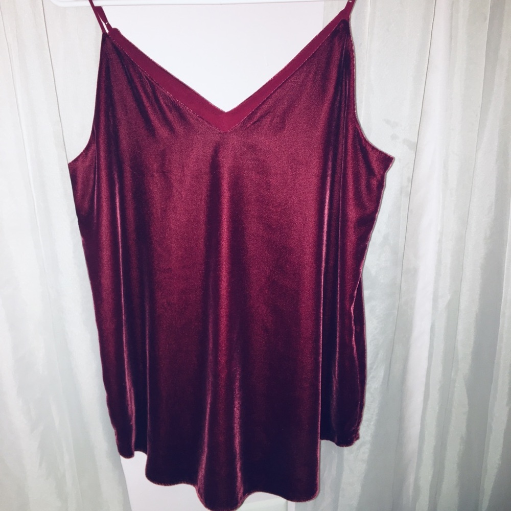 EXPRESS Velvet Cami